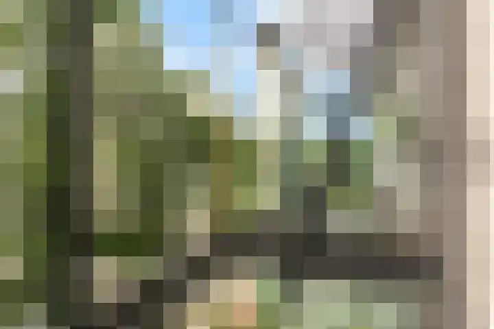 Veenwal 174 Nieuwegein thumbnail 19