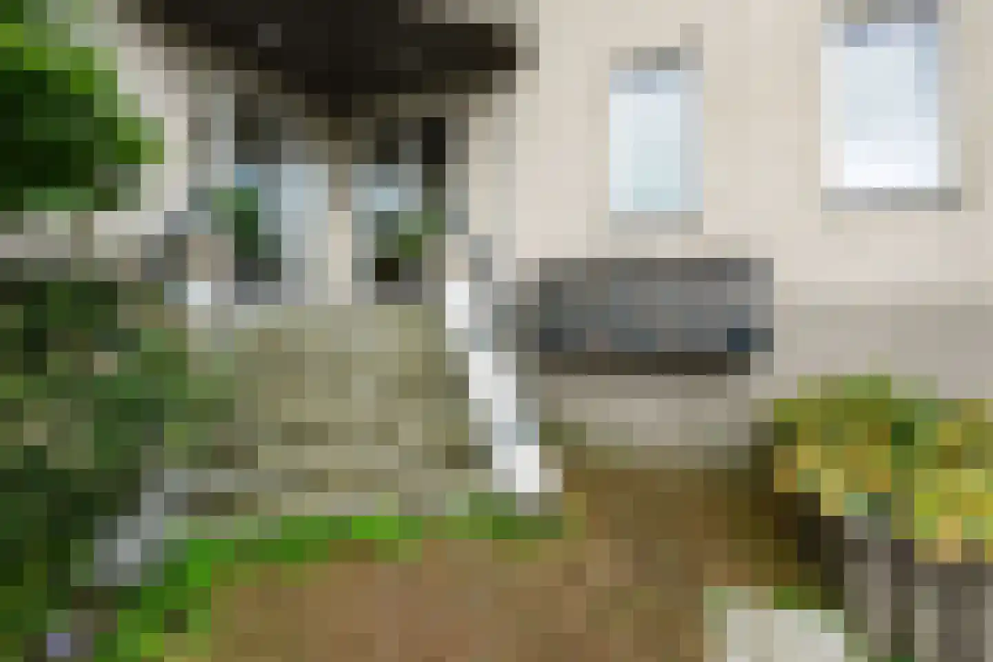 Veenwal 192 Nieuwegein thumbnail 6