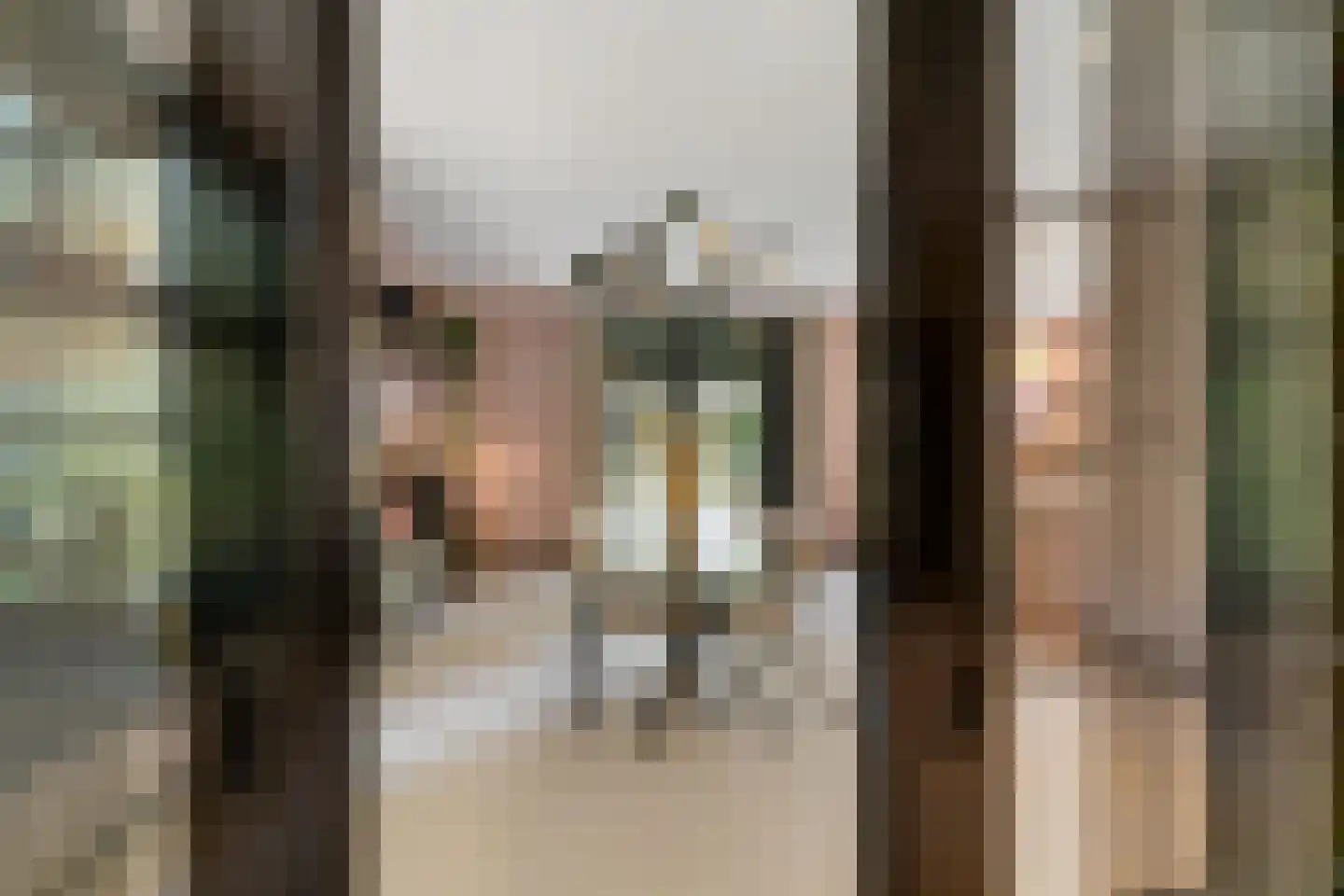 Veenwal 3 Hattem thumbnail 11