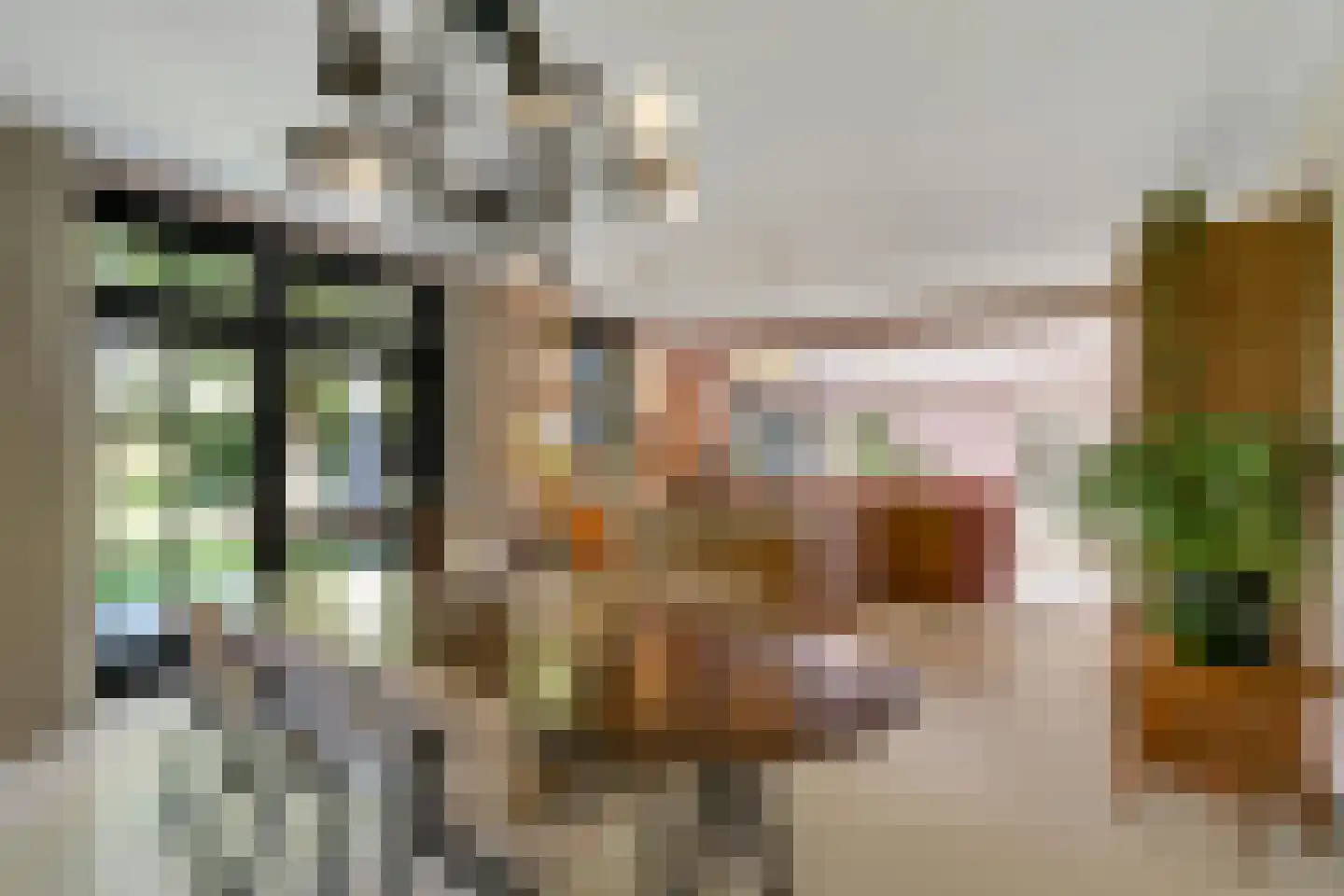 Veenwal 3 Hattem thumbnail 12