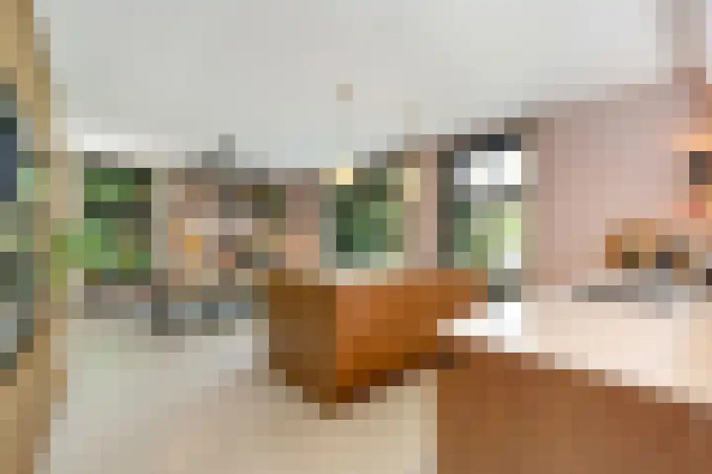 Veenwal 3 Hattem thumbnail 14