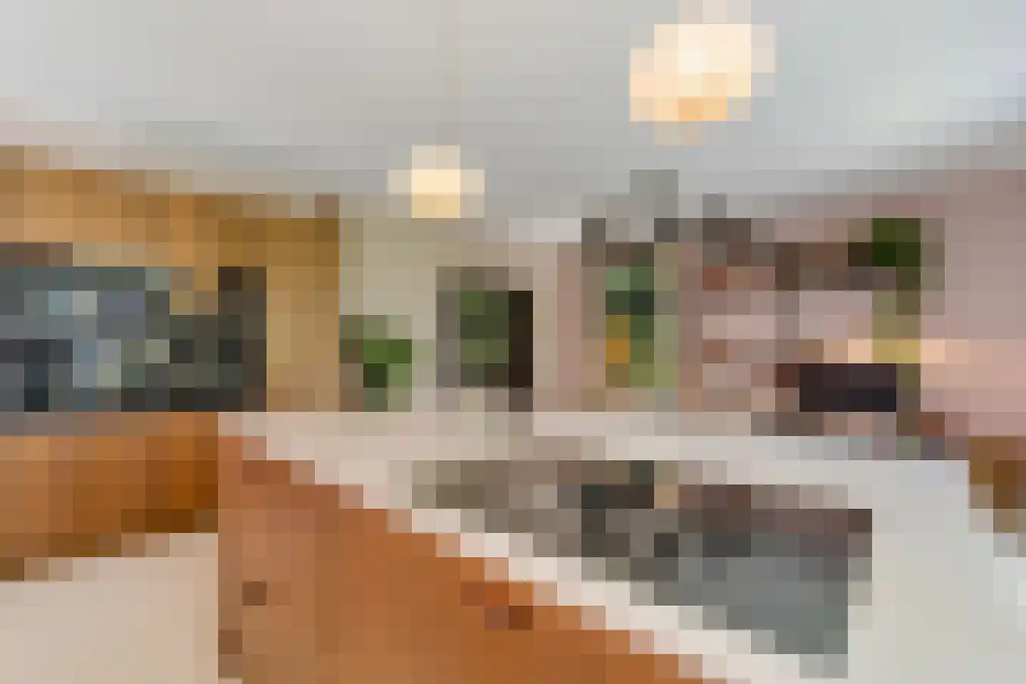 Veenwal 3 Hattem thumbnail 15