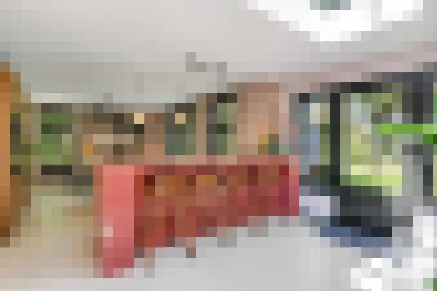 Veenwal 3 Hattem thumbnail 16