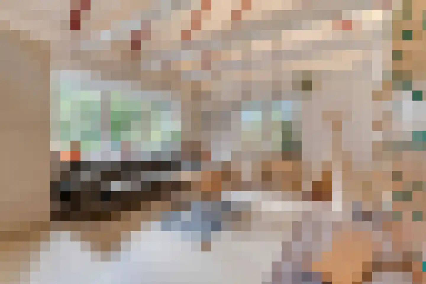 Veenwal 3 Hattem thumbnail 19