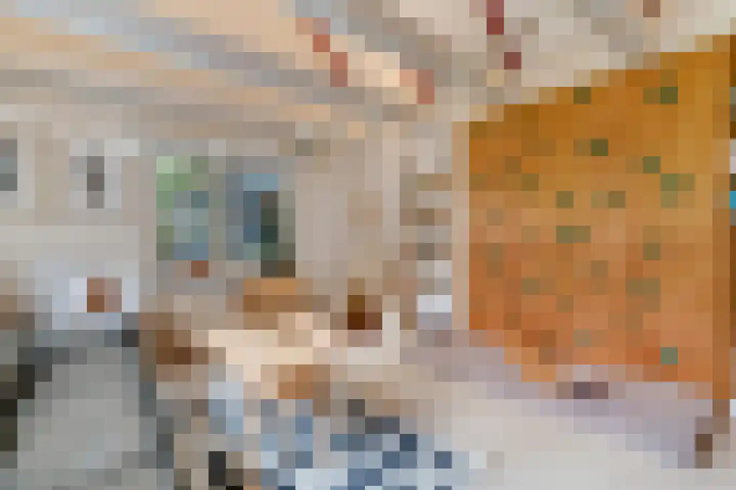 Veenwal 3 Hattem thumbnail 20