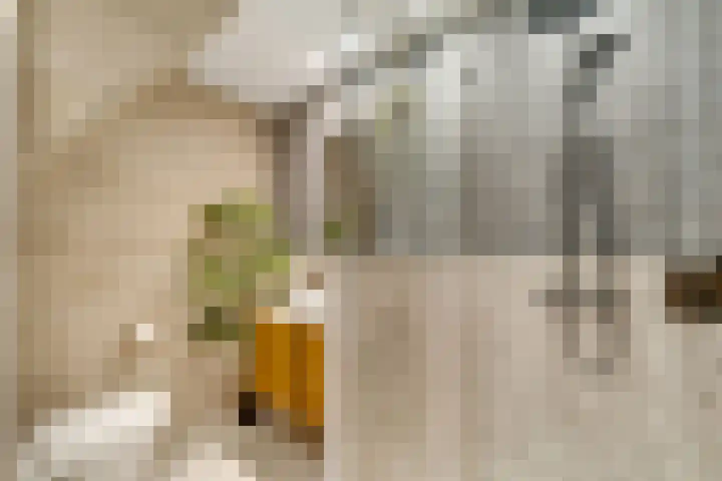 Veenwal 3 Hattem thumbnail 22
