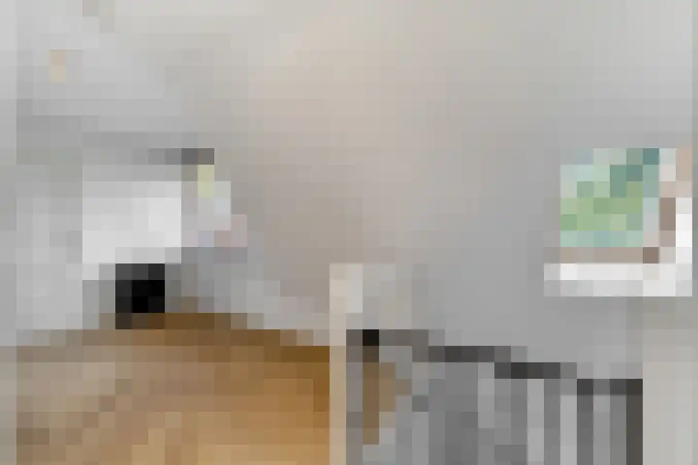 Veenwal 3 Hattem thumbnail 27