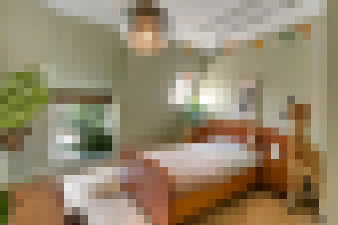 Veenwal 3 Hattem thumbnail 31
