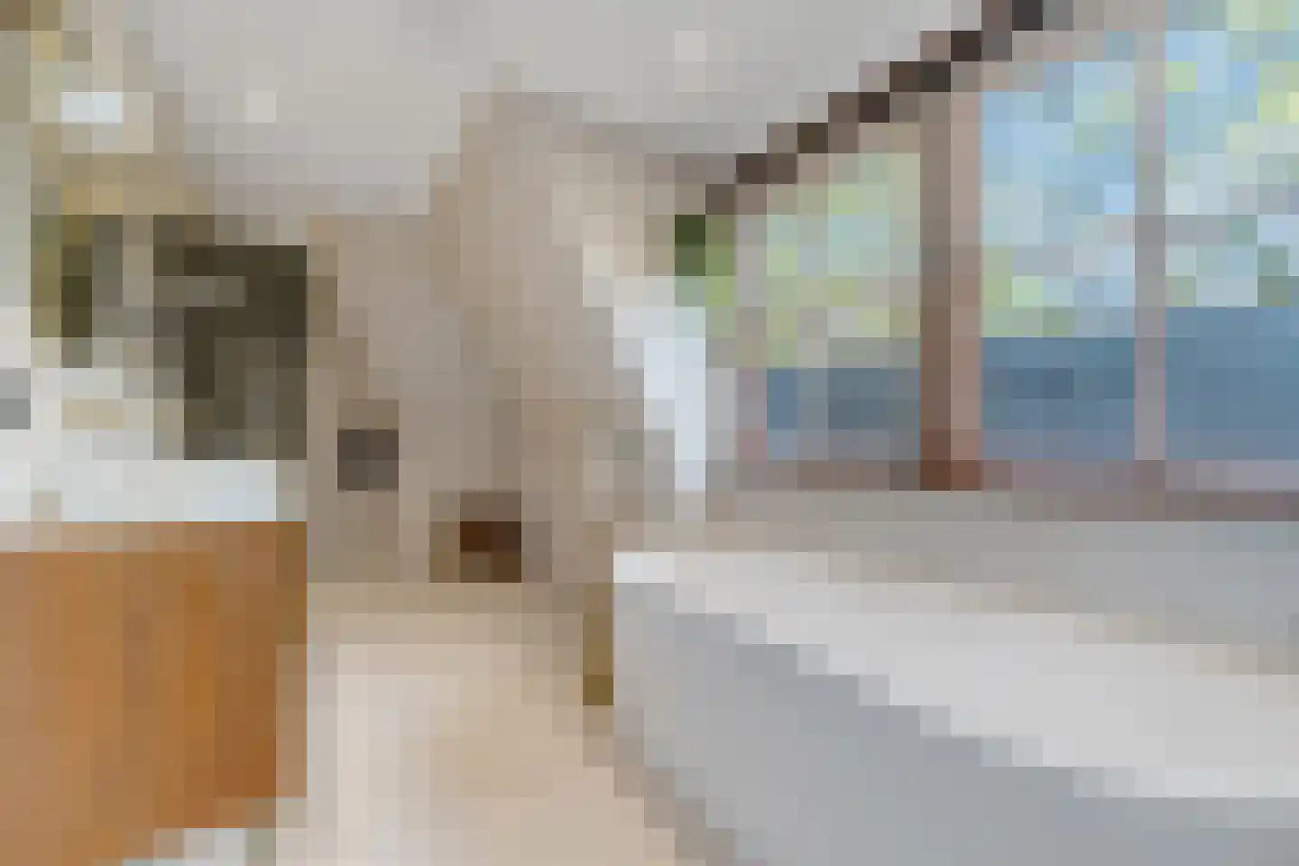 Veenwal 3 Hattem thumbnail 33