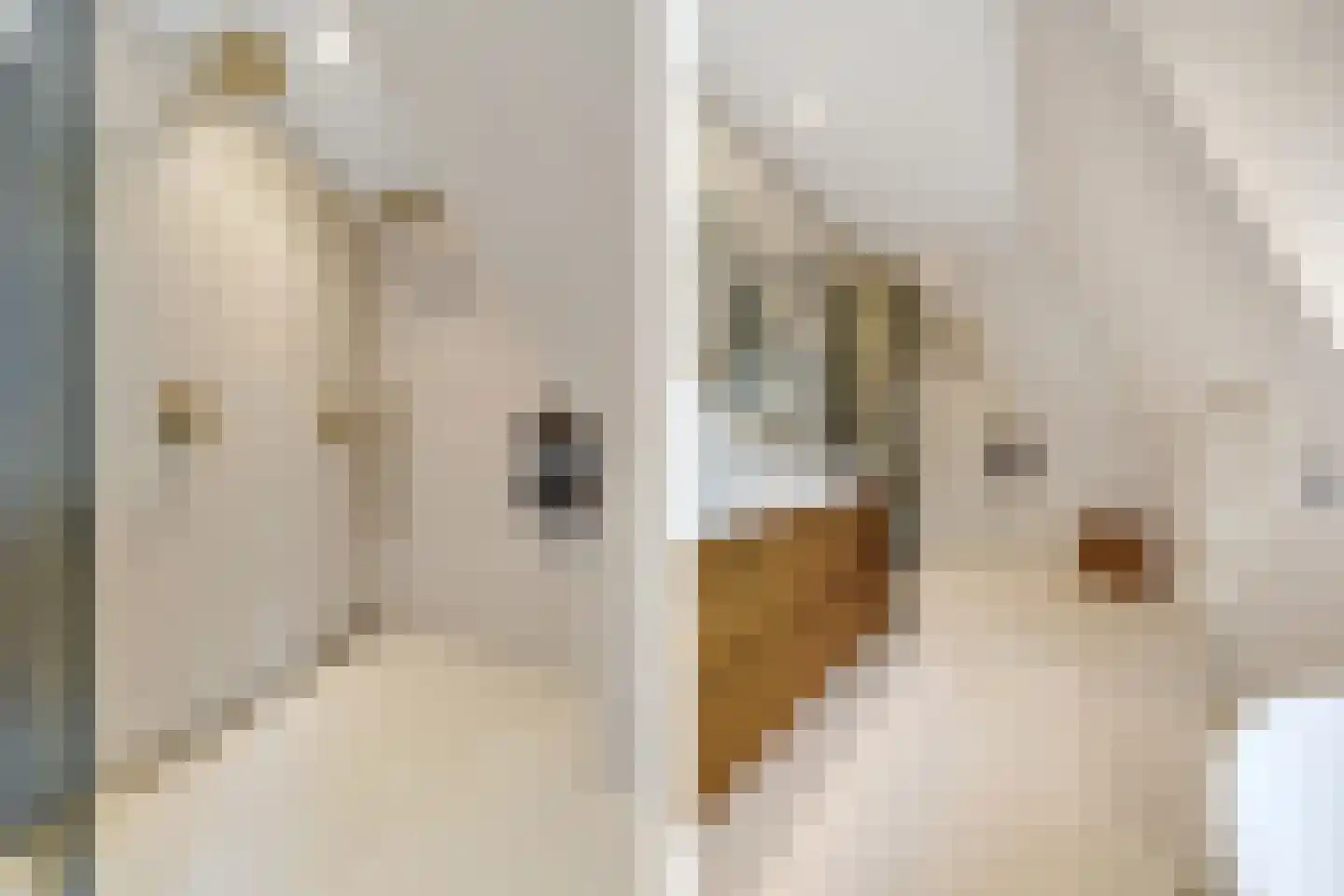 Veenwal 3 Hattem thumbnail 34