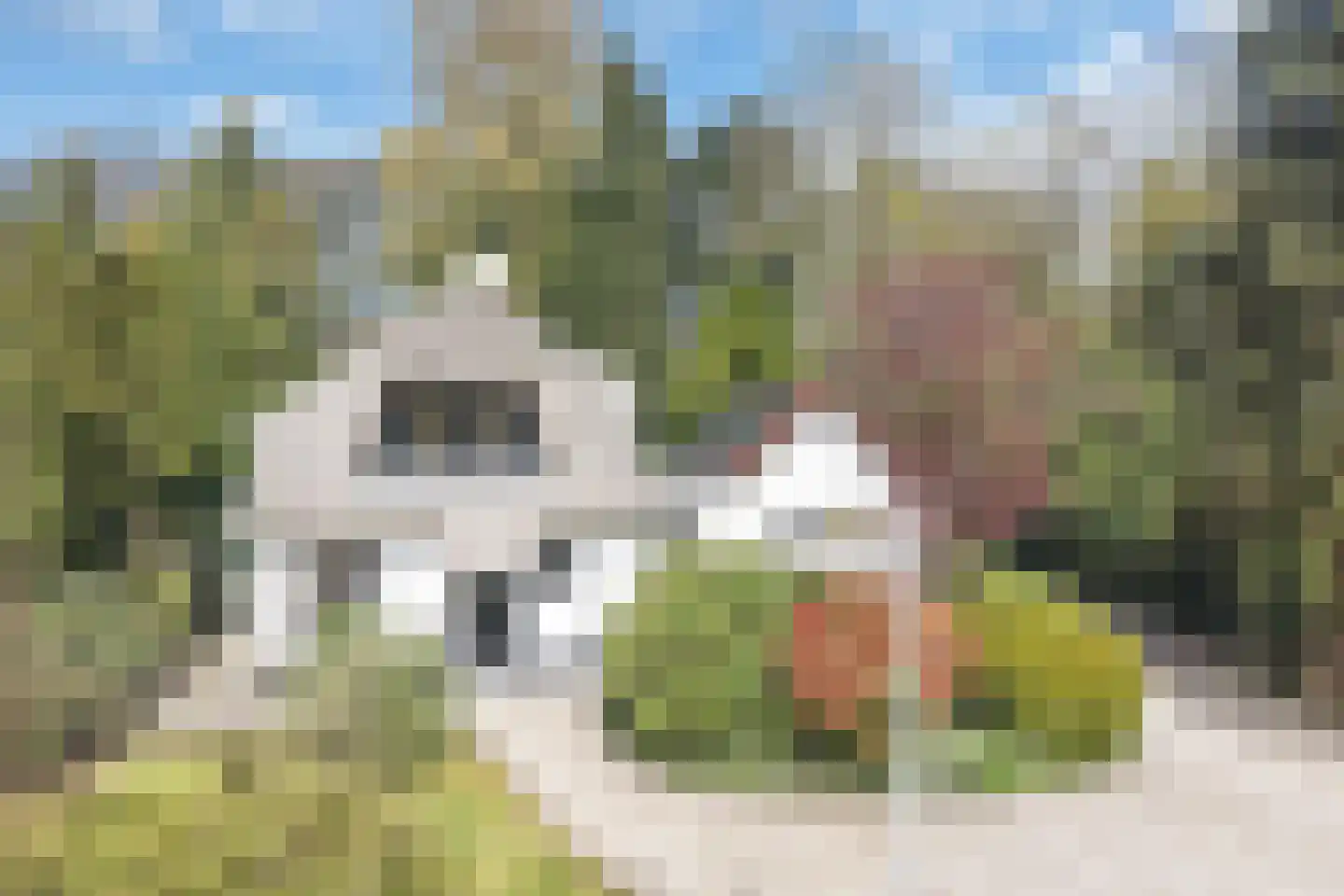 Veenwal 3 Hattem thumbnail 38