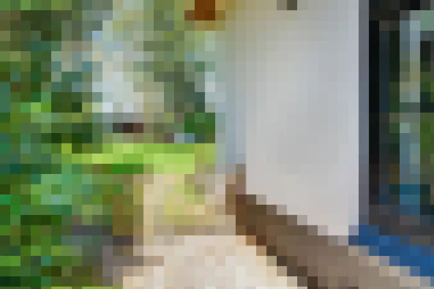Veenwal 3 Hattem thumbnail 39