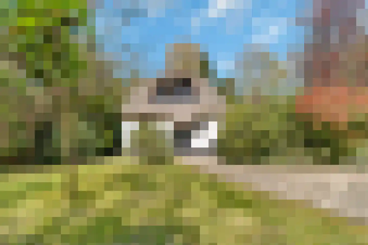 Veenwal 3 Hattem thumbnail 4