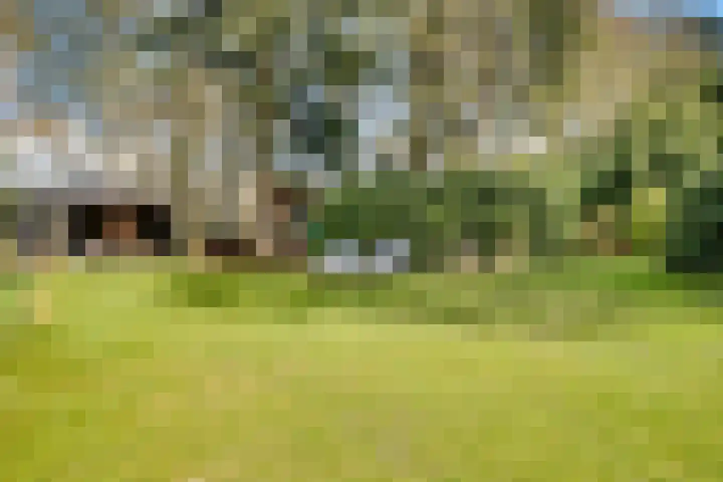 Veenwal 3 Hattem thumbnail 40
