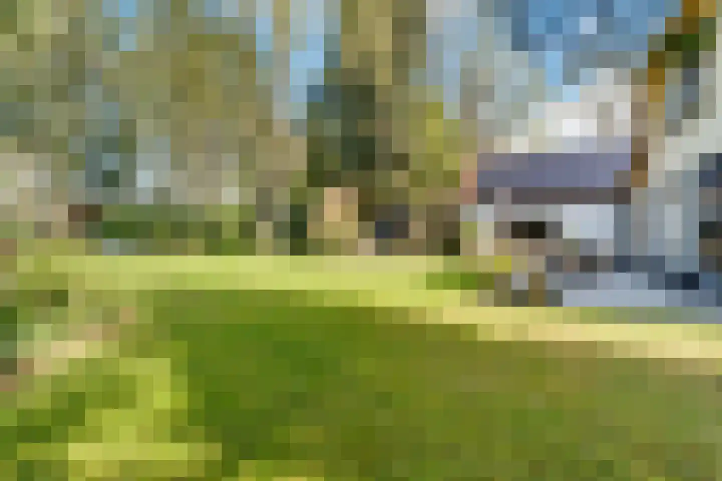 Veenwal 3 Hattem thumbnail 41
