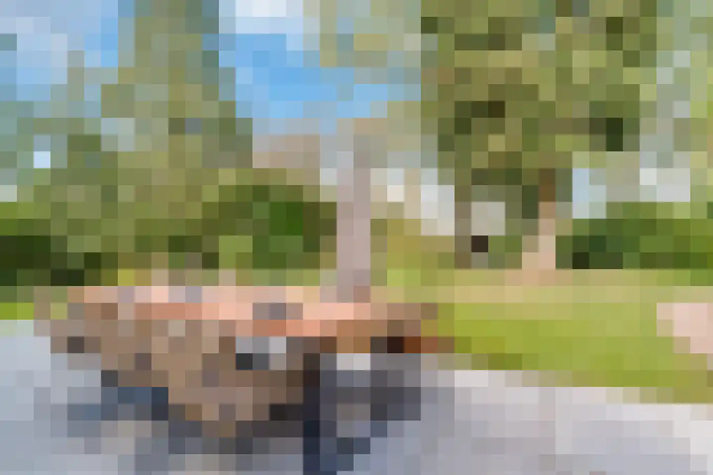 Veenwal 3 Hattem thumbnail 44