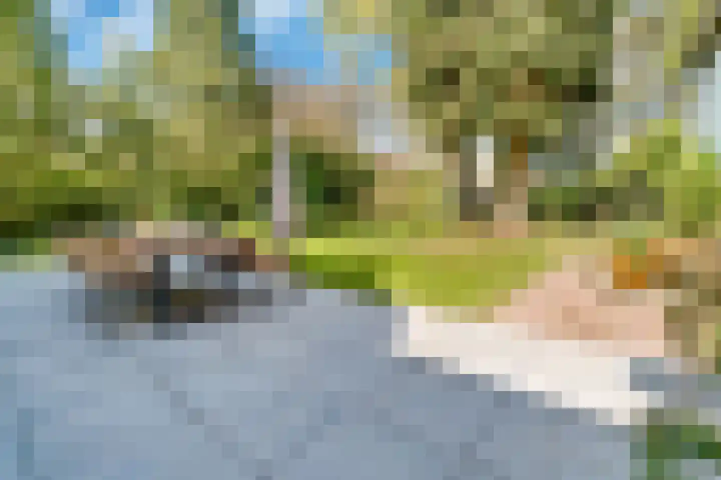 Veenwal 3 Hattem thumbnail 45