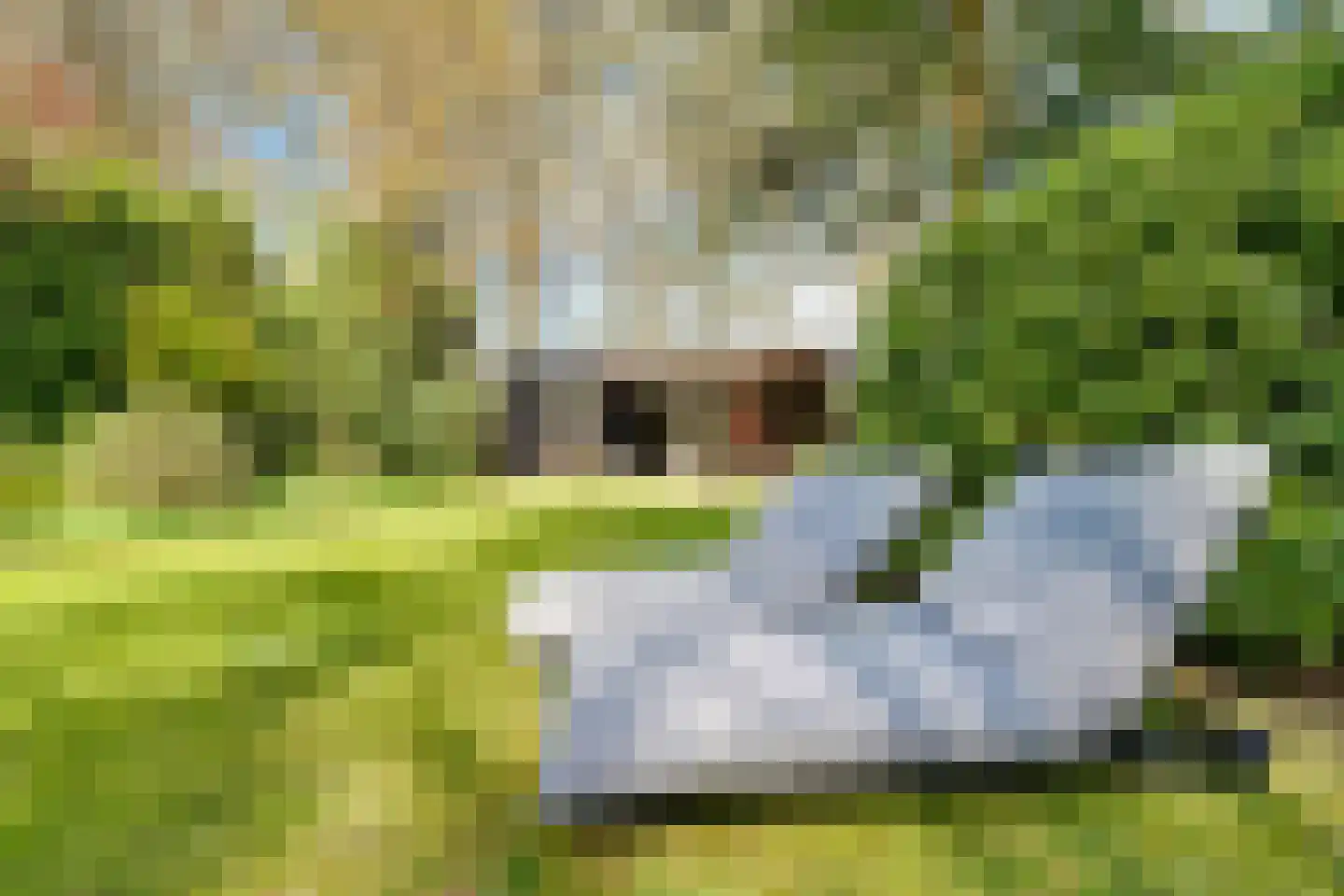 Veenwal 3 Hattem thumbnail 46