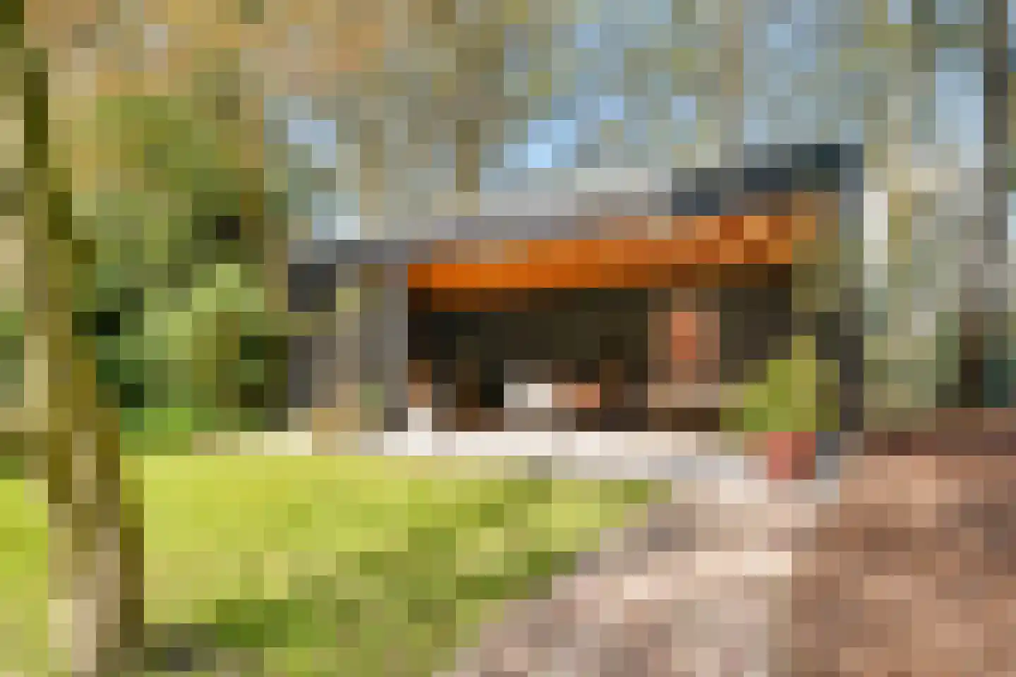 Veenwal 3 Hattem thumbnail 47