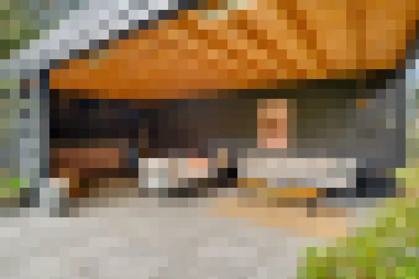 Veenwal 3 Hattem thumbnail 48