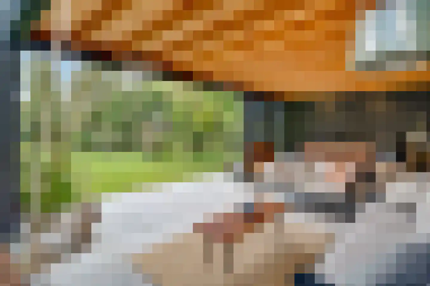 Veenwal 3 Hattem thumbnail 50