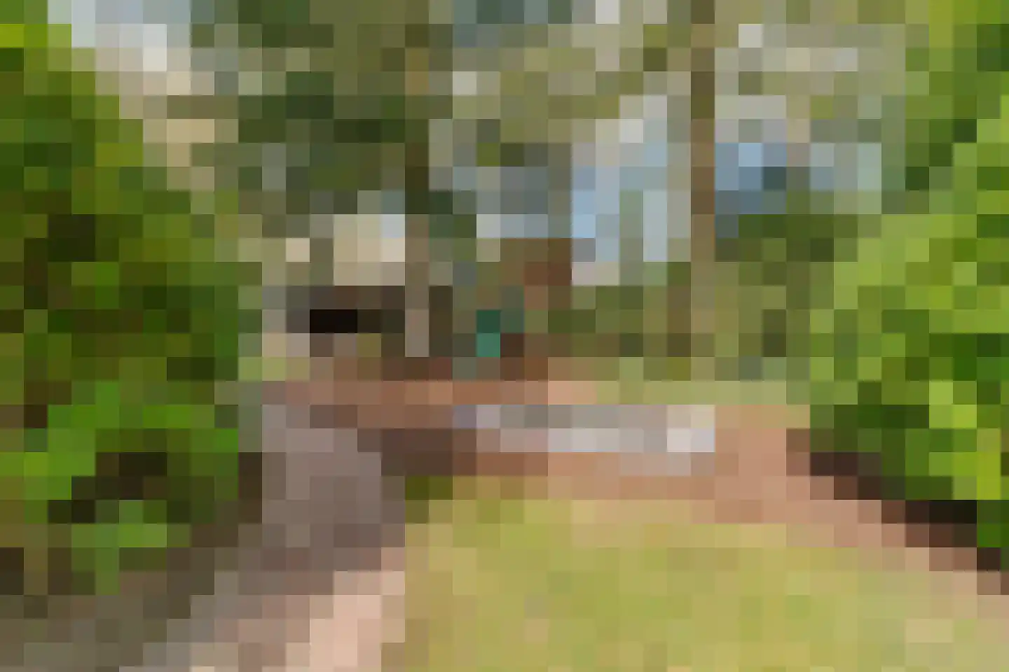 Veenwal 3 Hattem thumbnail 52