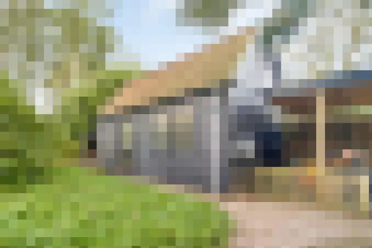Veenwal 3 Hattem thumbnail 53