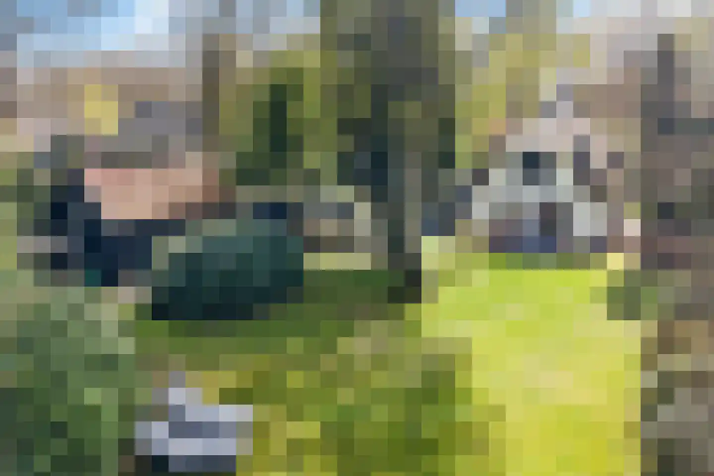 Veenwal 3 Hattem thumbnail 55