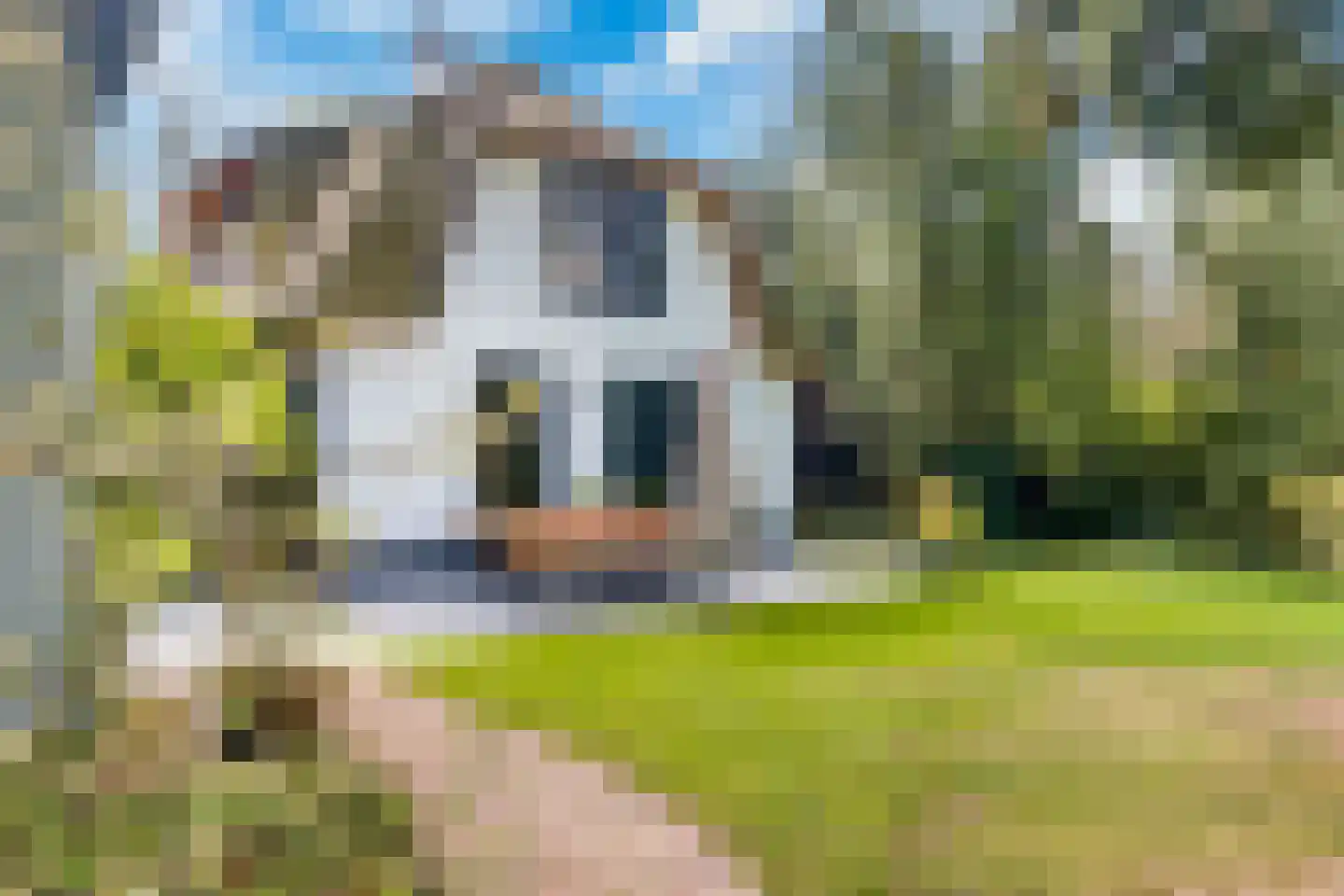 Veenwal 3 Hattem thumbnail 56