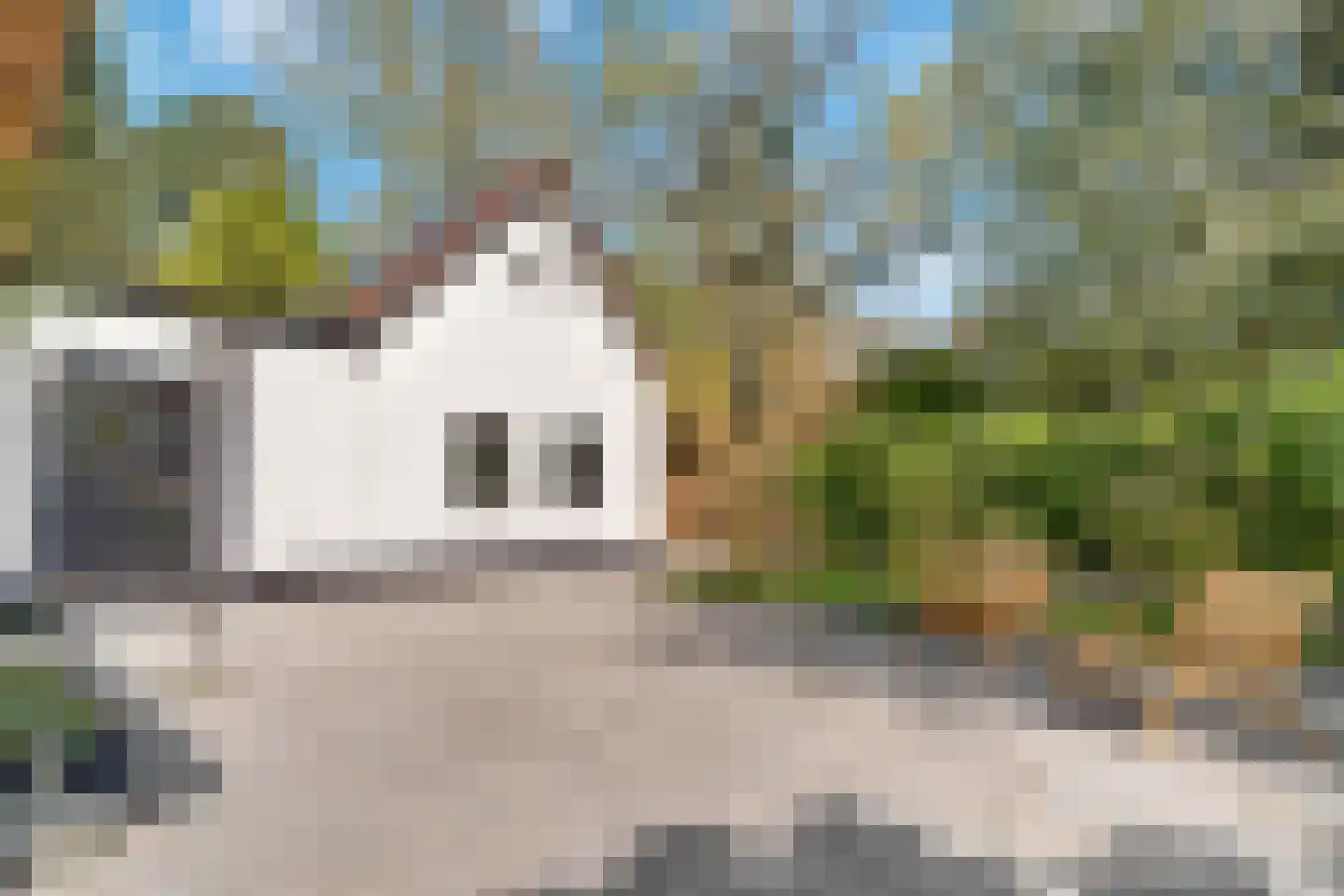 Veenwal 3 Hattem thumbnail 63