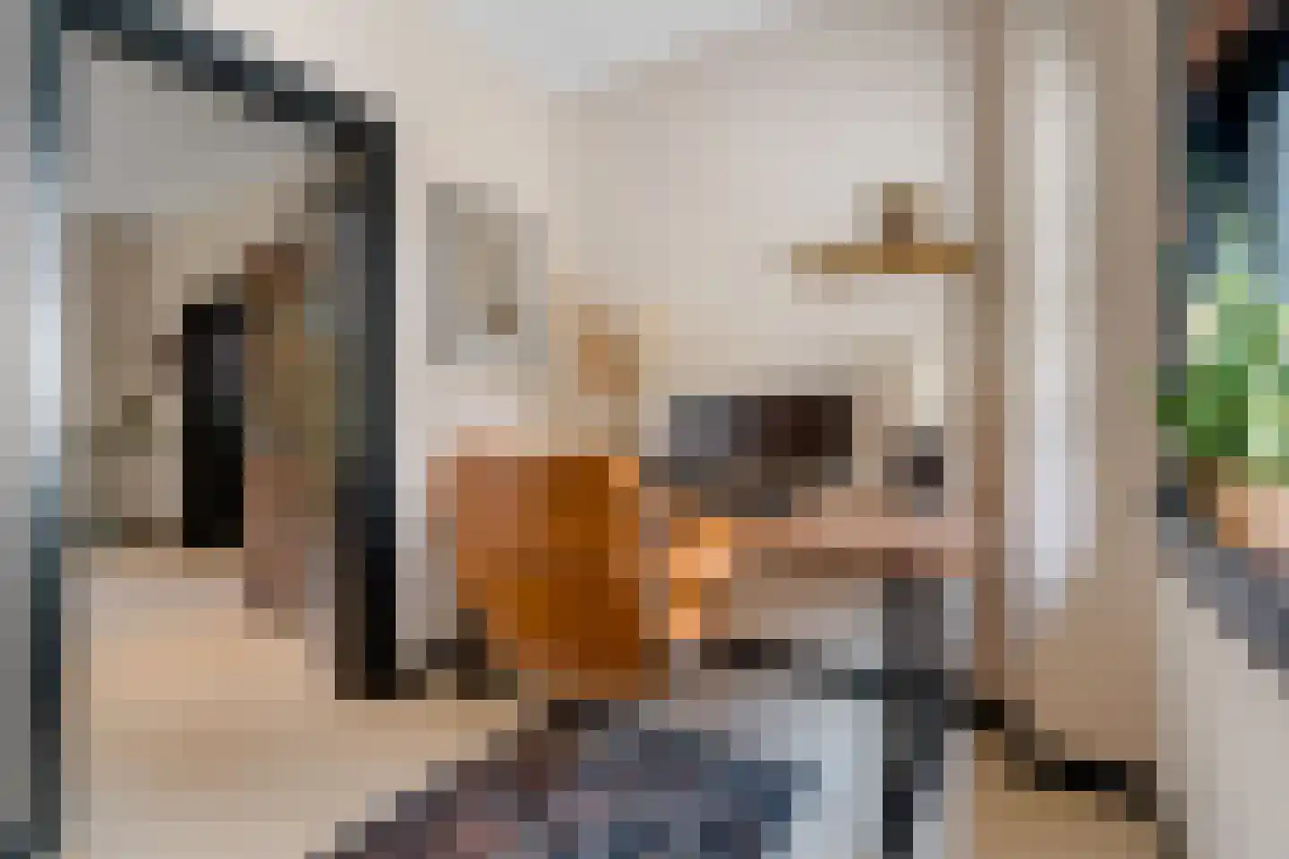 Veenwal 3 Hattem thumbnail 9