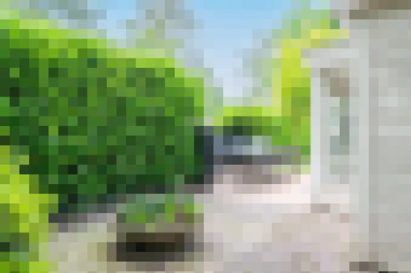 Veenwaterweg 3 5 Putten thumbnail 32