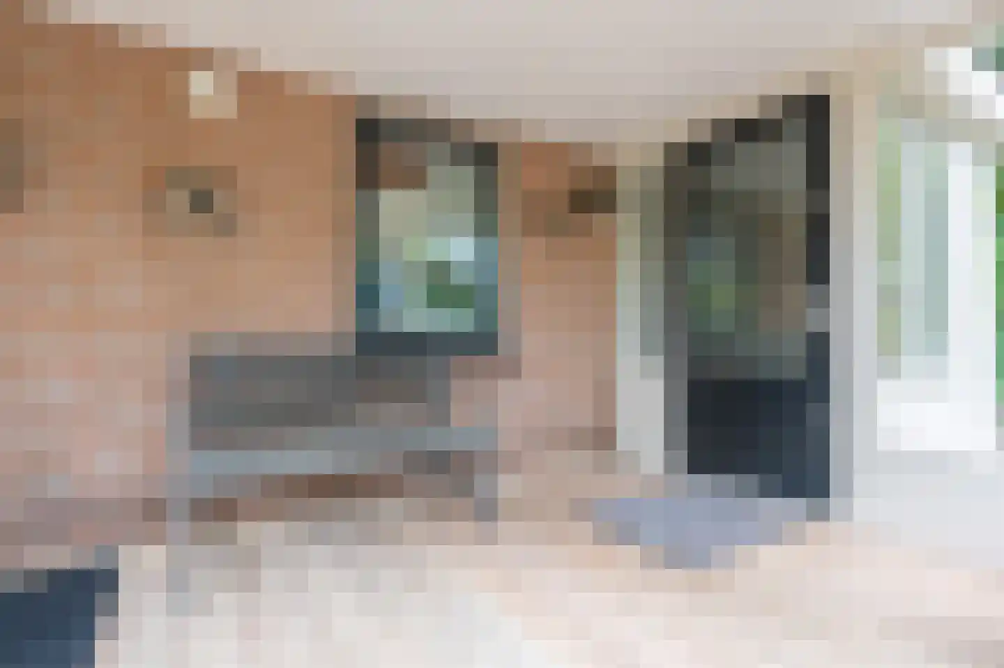 Veenwaterweg 3 5 Putten thumbnail 5