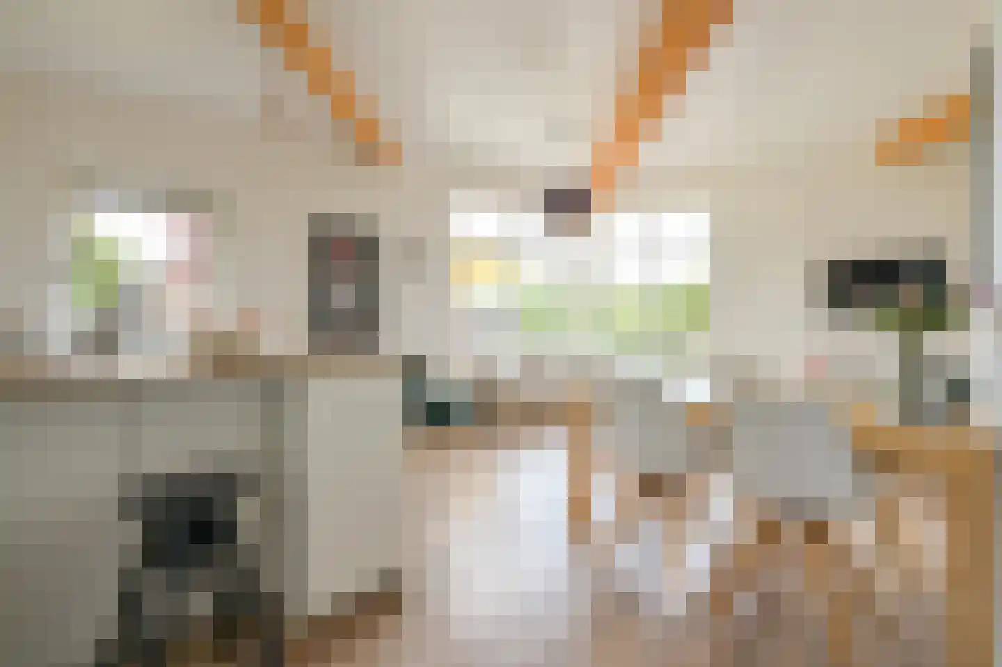 Veenwaterweg 3 5 Putten thumbnail 7