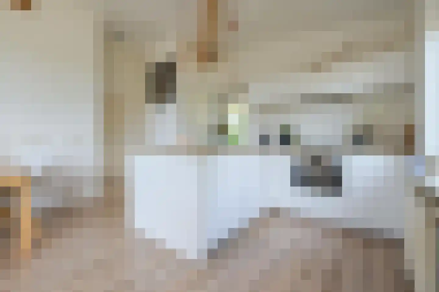 Veenwaterweg 3 5 Putten thumbnail 9