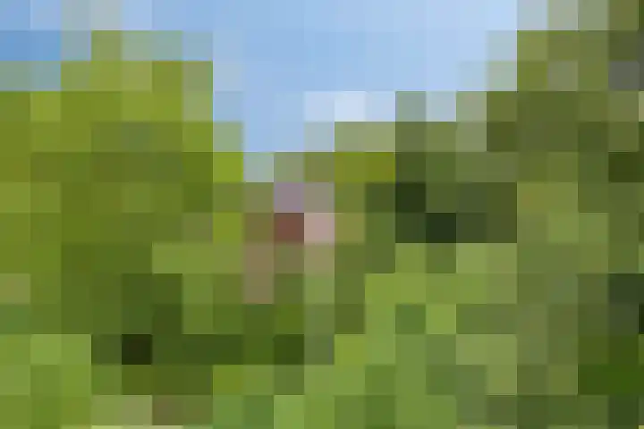 Veenweg 10 b Groningen thumbnail 10