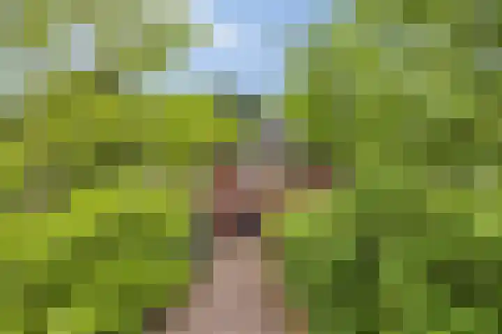 Veenweg 10 b Groningen thumbnail 12