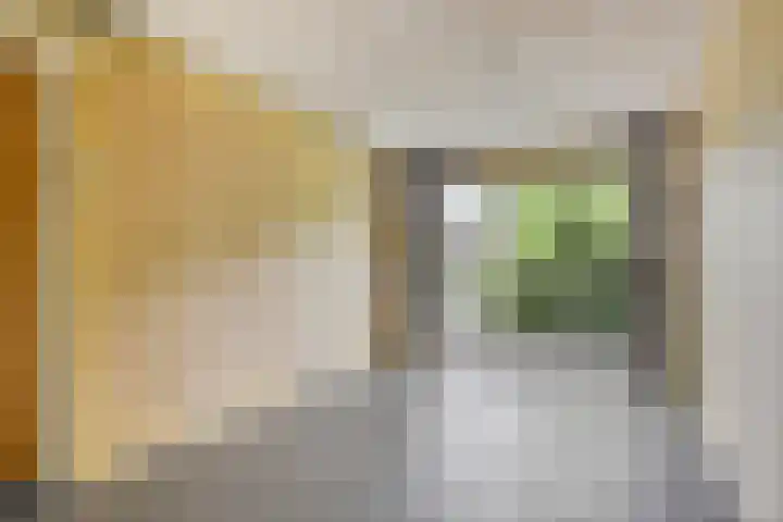 Veenweg 10 b Groningen thumbnail 32