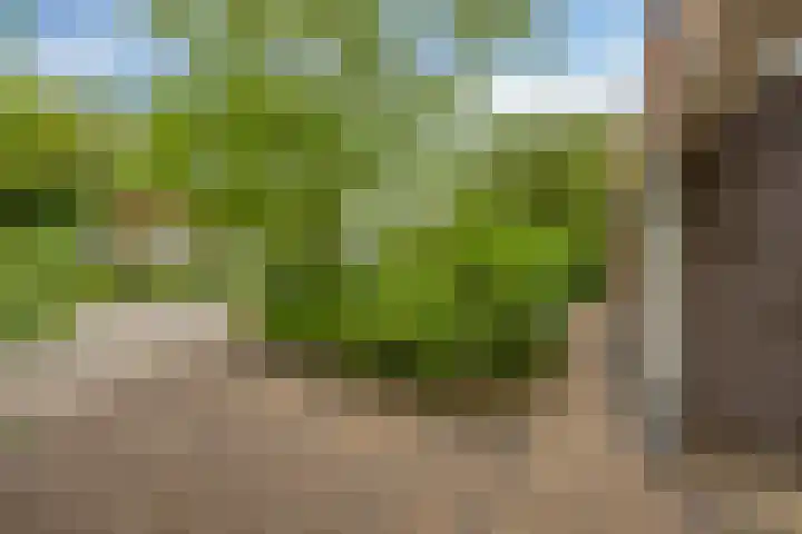 Veenweg 10 b Groningen thumbnail 49