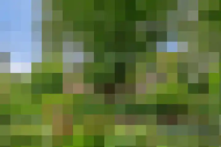 Veenweg 10 b Groningen thumbnail 52