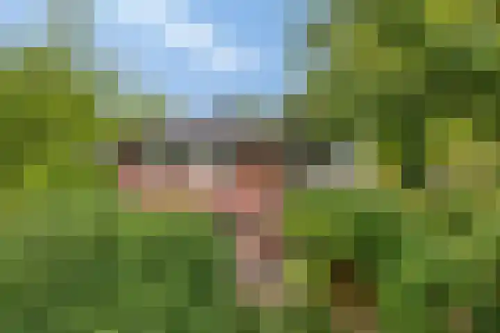 Veenweg 10 b Groningen thumbnail 54