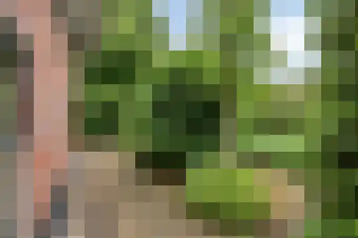 Veenweg 10 b Groningen thumbnail 55