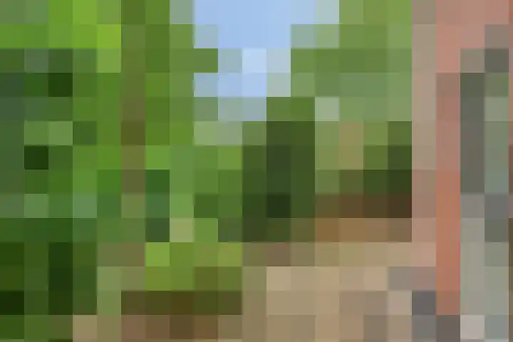 Veenweg 10 b Groningen thumbnail 56