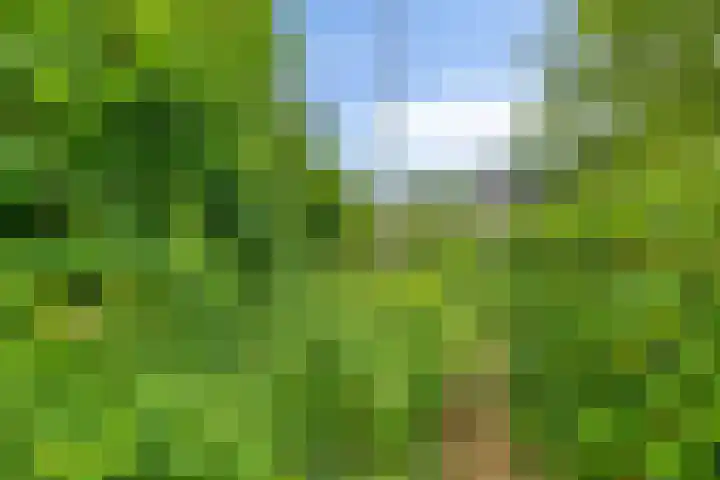 Veenweg 10 b Groningen thumbnail 57