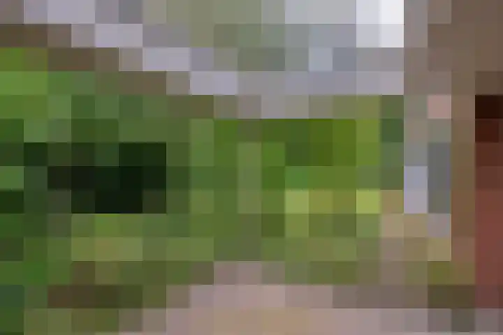Veenweg 10 b Groningen thumbnail 60