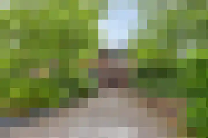 Veenweg 10 b Groningen thumbnail 7