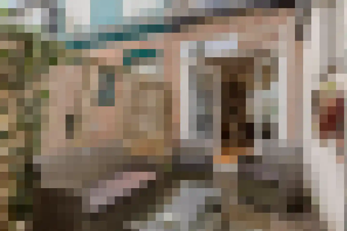 Veenweg 100 Deventer thumbnail 23