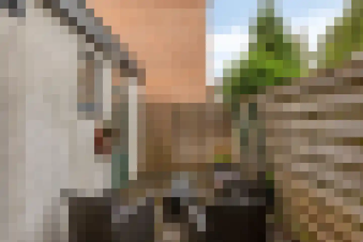 Veenweg 100 Deventer thumbnail 24