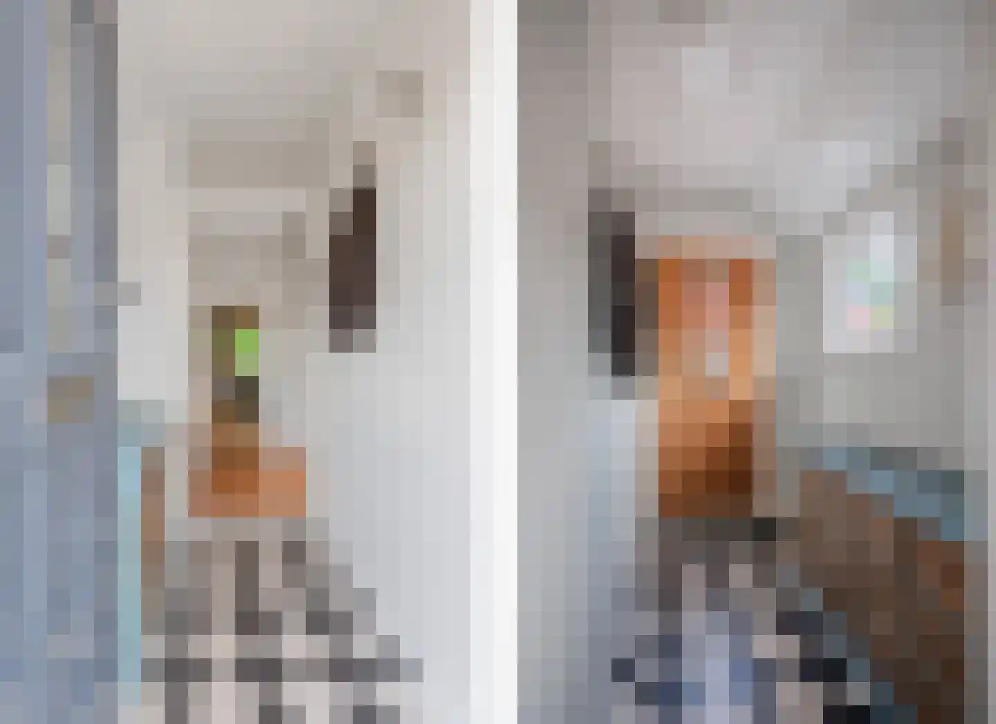 Veenweg 101 Beerta thumbnail 12