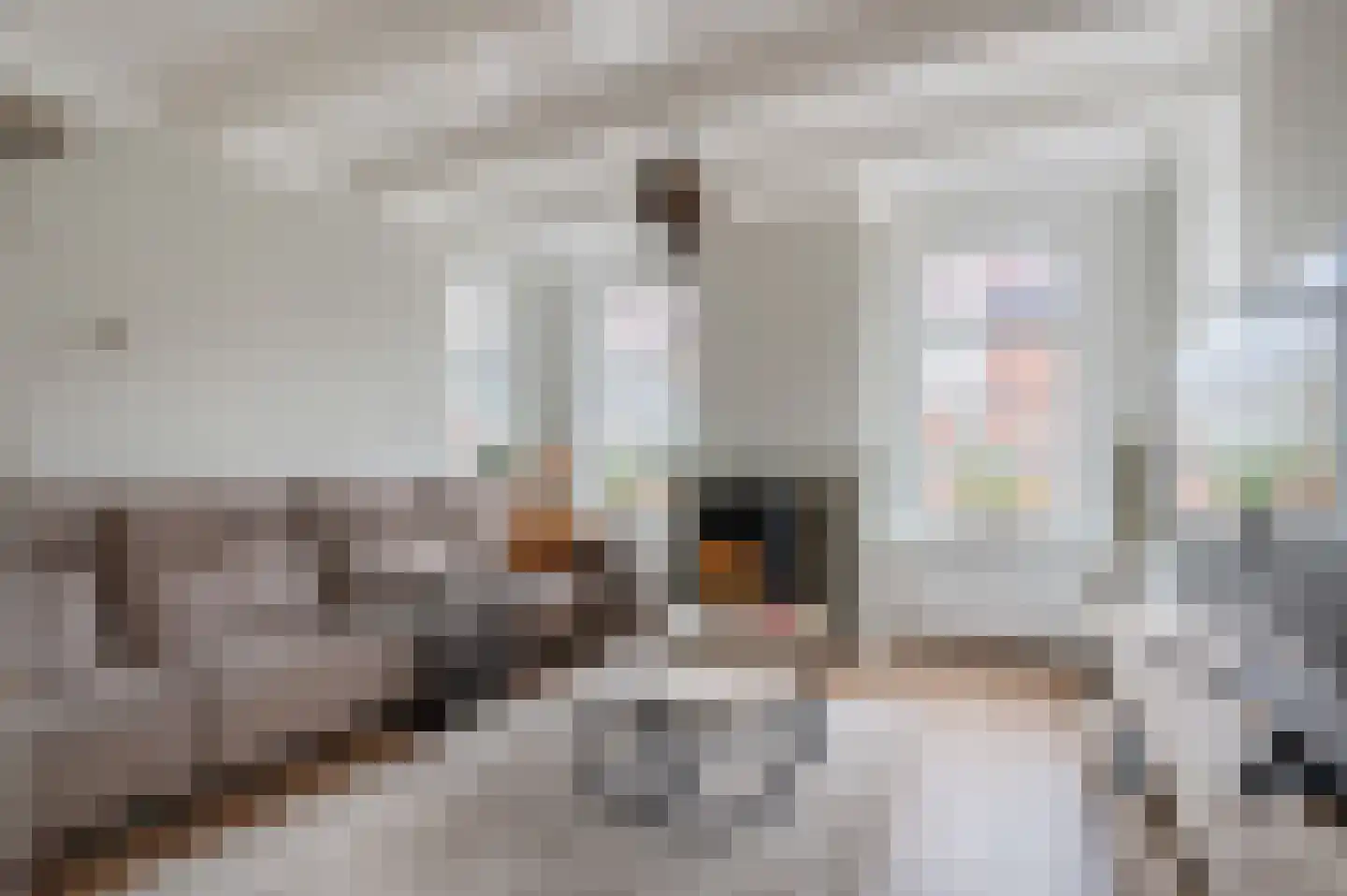 Veenweg 101 Beerta thumbnail 14